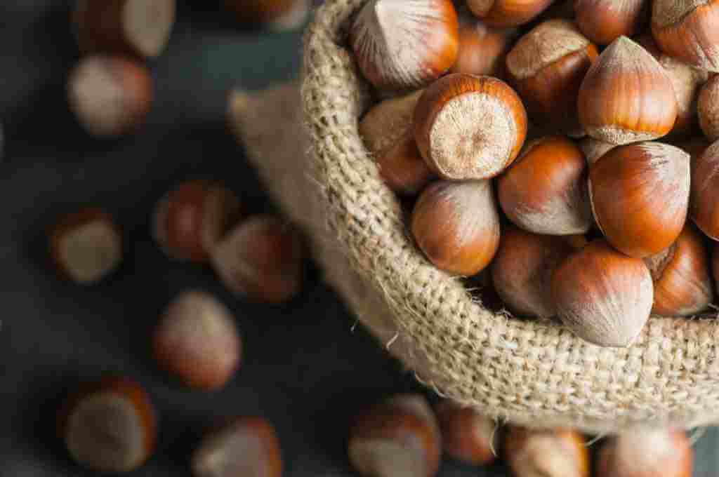11 Health Benefits of Hazelnut