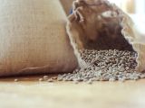 Green Coffee- Healthy Drink or Not Green Coffee- Healthy Drink or Not